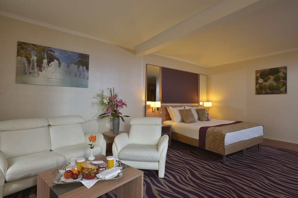 Plaza Hotel Capitole Toulouse 34/64