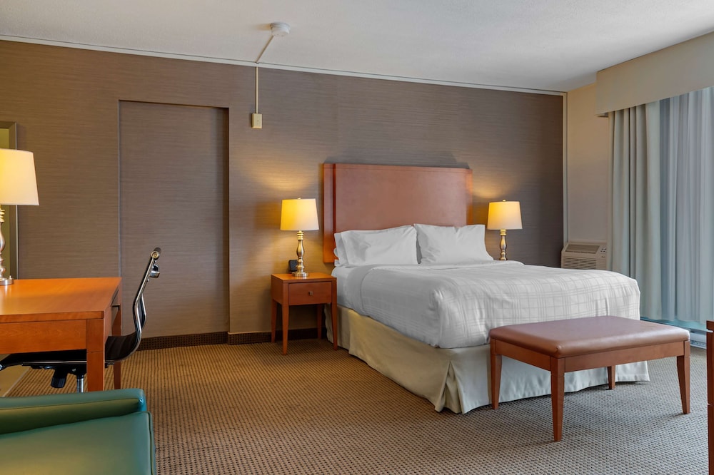 Suite, Queen Bed, Kitchen