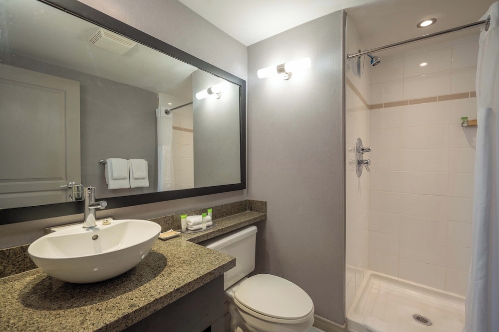 جناح ديلوكس بسرير كينج مع أريكة بمطبخ صغير، Sandman Hotel & Suites Winnipeg Airport 4/4