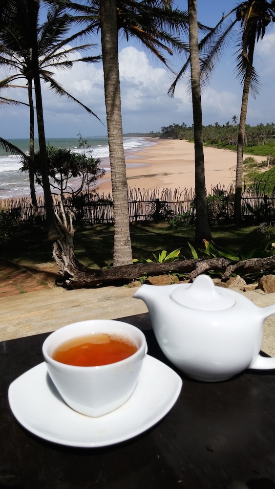 Turtle Bay 25/50