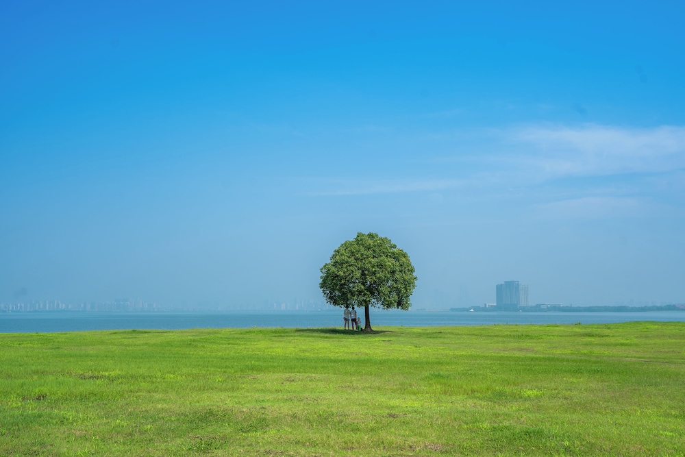 Oakwood Hotel & Residence Suzhou 44/50