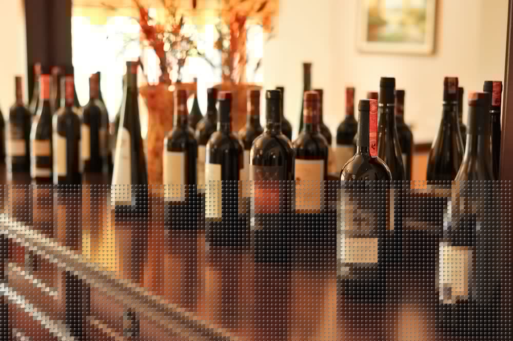 Vila E Arte酒店(Vila E Arte) 图片5