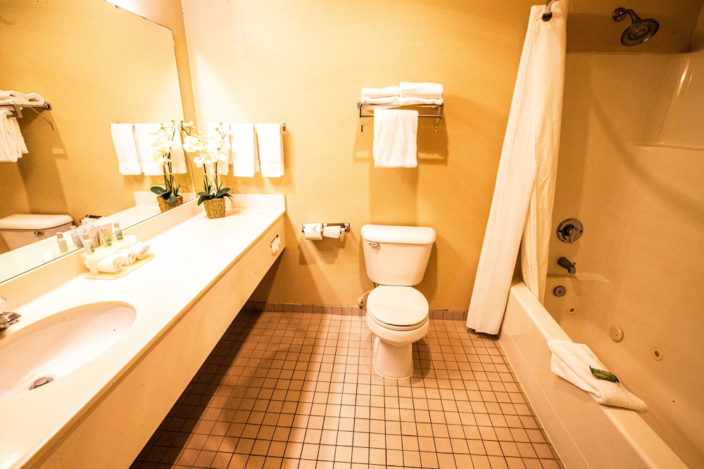 Morningglory Hotel Resort Suites 24/27