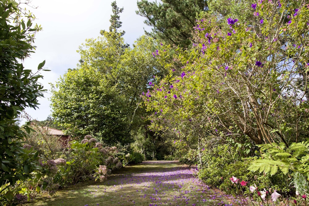 Quinta Santo Antonio Da Serra 30/44