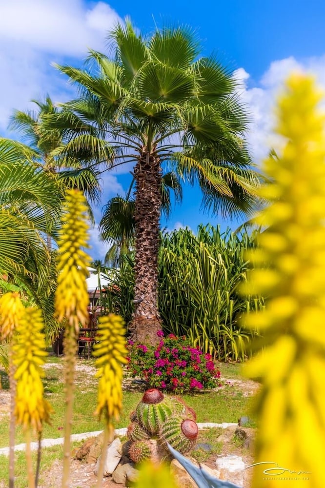 Palm Court at Orient Beach 38/50