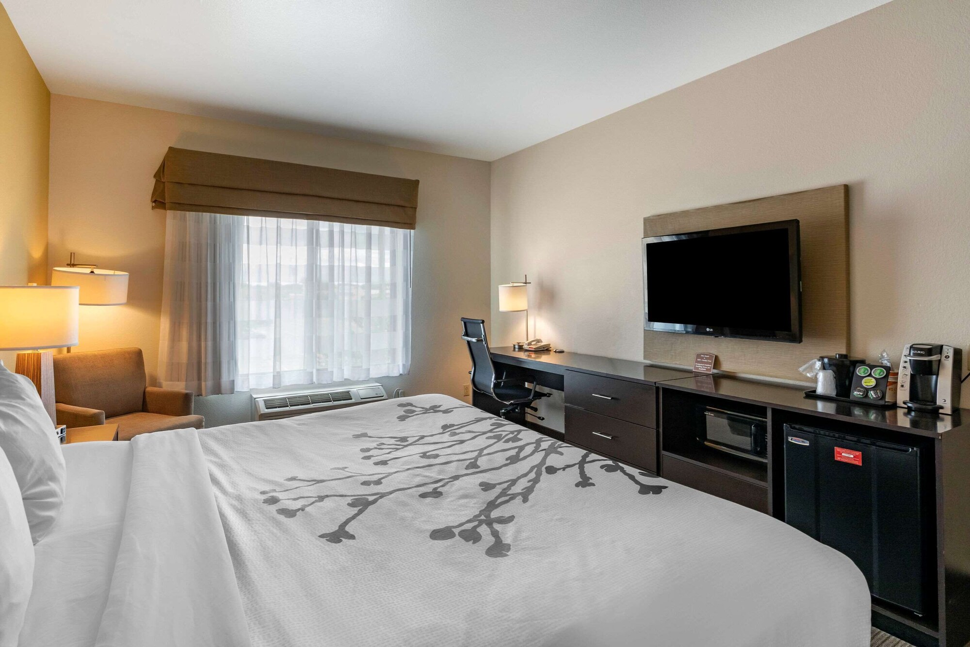 Efficiency, King Bed