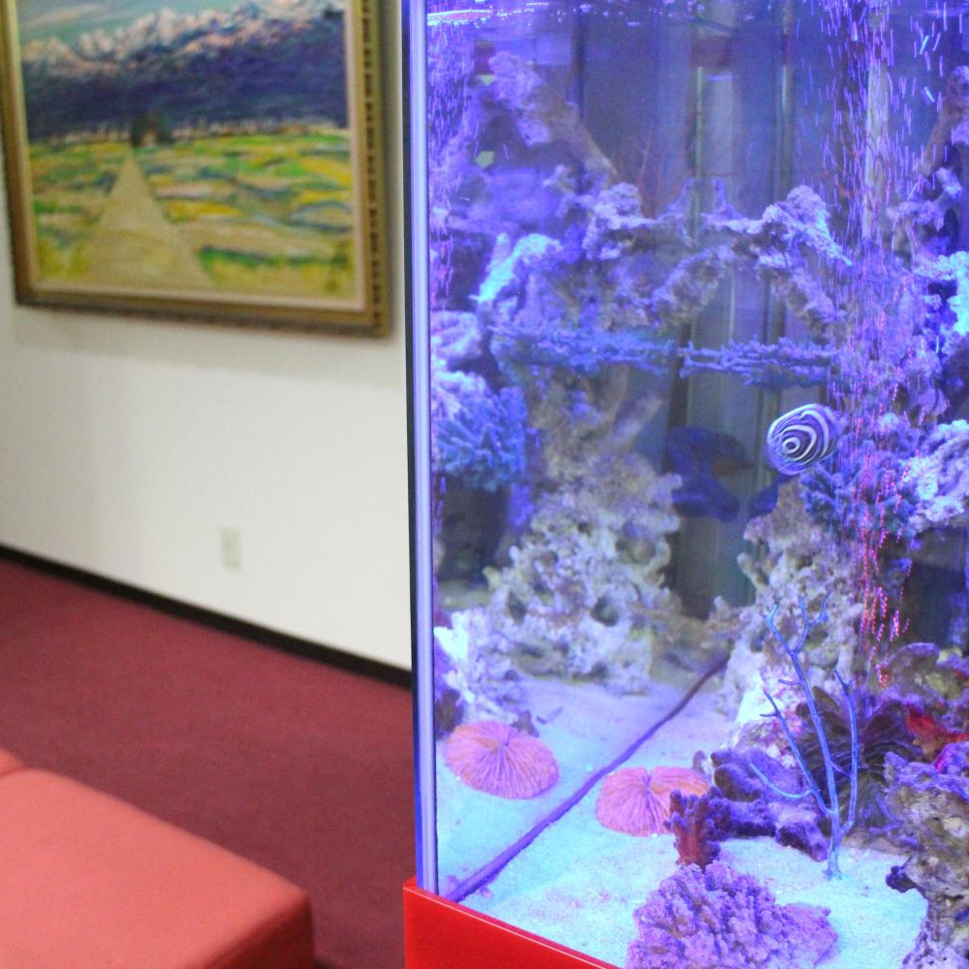 Business Hotel Raicho 24/50