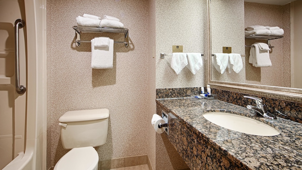 Best Western Plus Toronto Airport Hotel 22/38