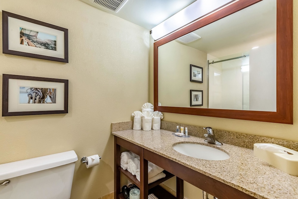 Comfort Inn Newport News VA 25/30