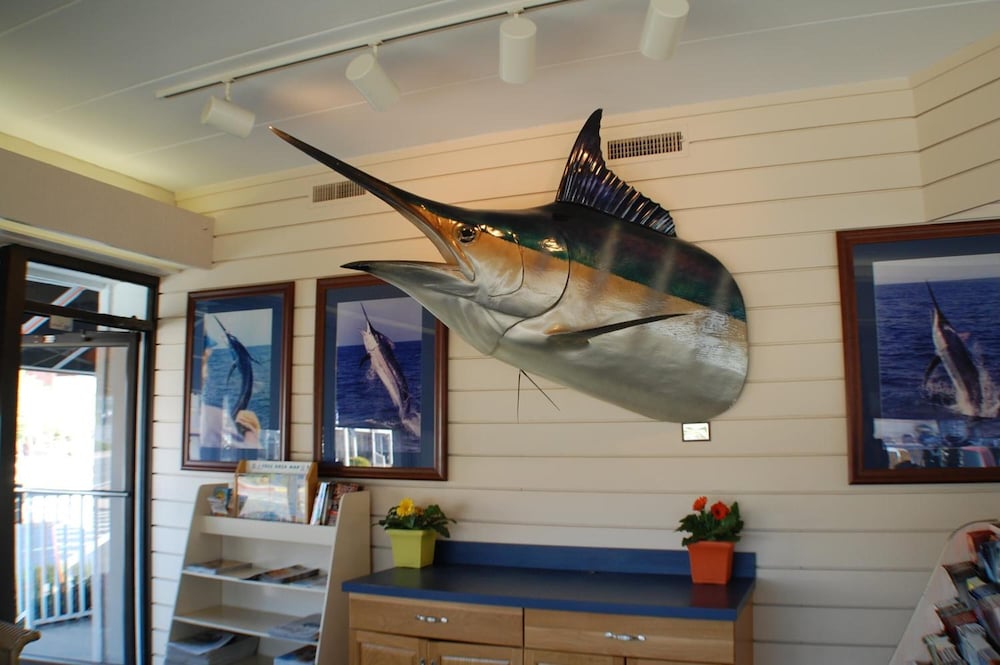The Spinnaker 14/43