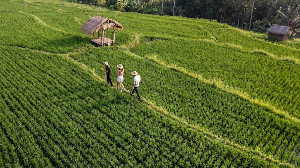 Ubud Nyuh Bali Resort & Spa 68/74