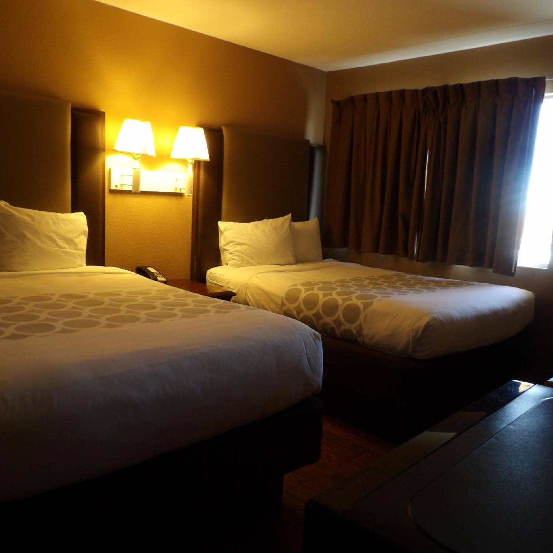 Suite, 2 Double Beds