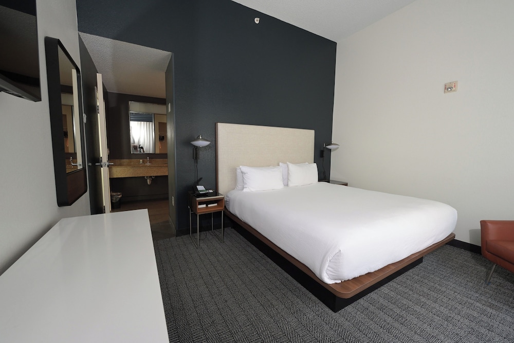 1 Bedroom, Suite
