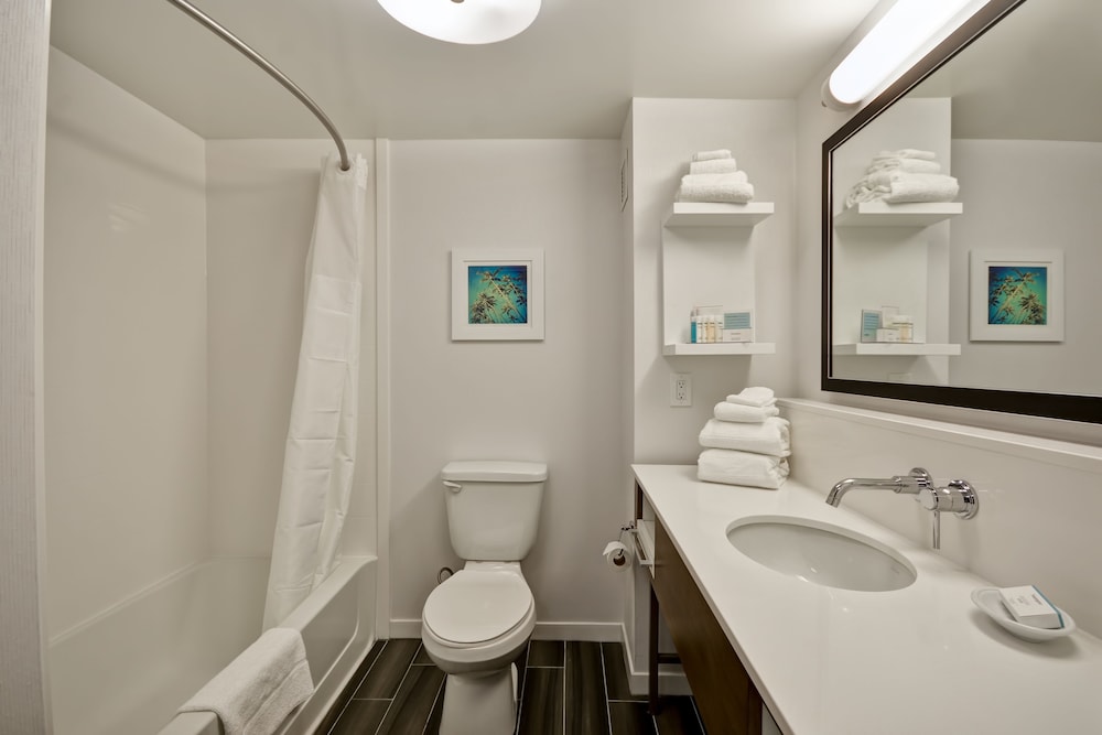 Hampton Inn And Suites Los Angeles Burbank Airport 19/42
