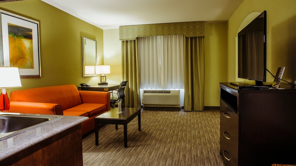 Holiday Inn Express & Suites Waller - Prairie View 37/54