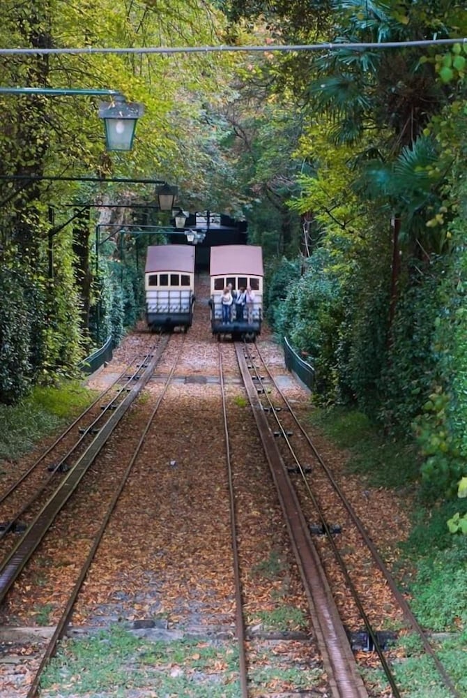 surroundings