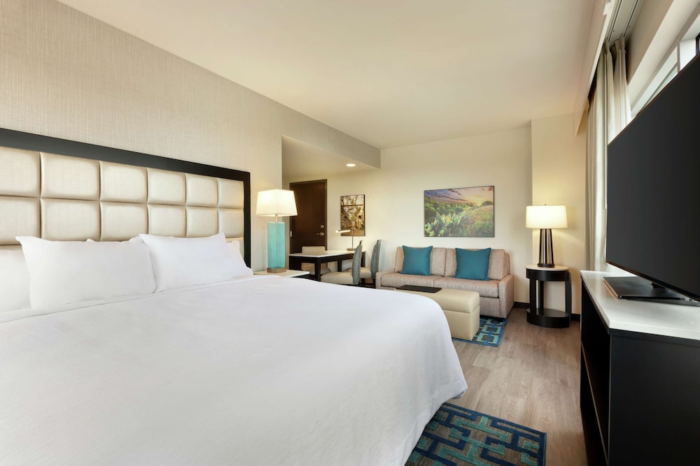 Embassy Suites by Hilton San Antonio Landmark 15/57