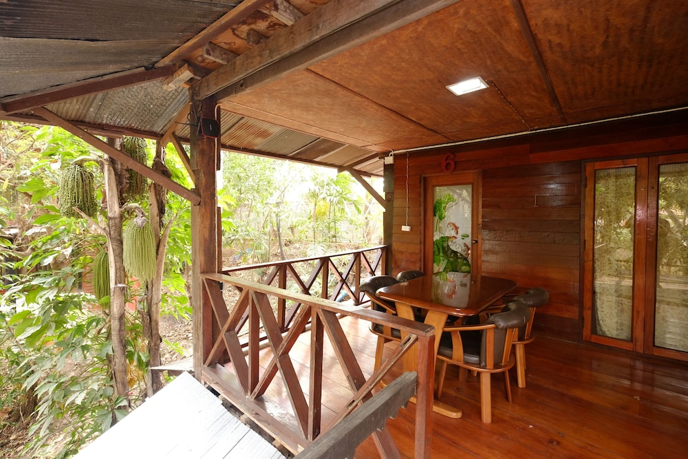 P P Coffee Resort Maesariang 26/50
