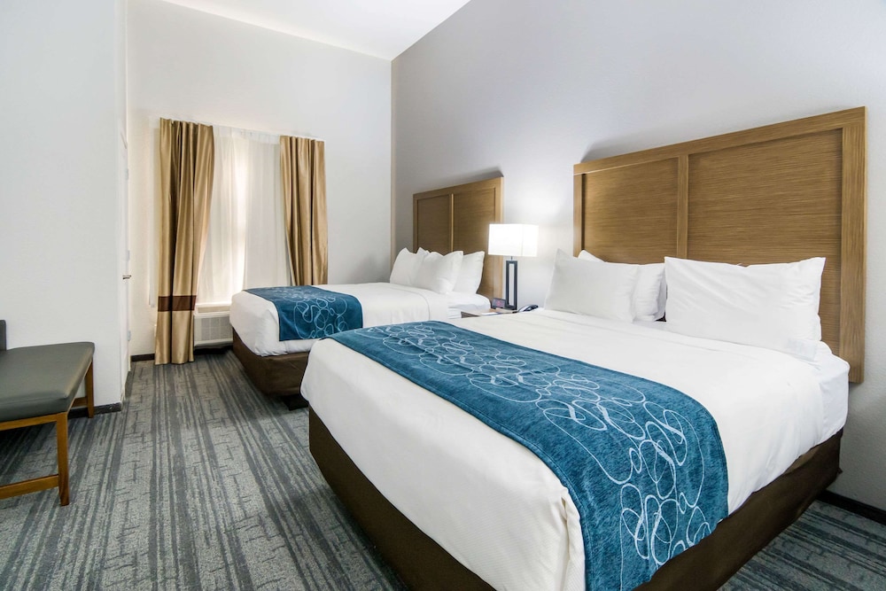Comfort Suites DeSoto Dallas South 14/51