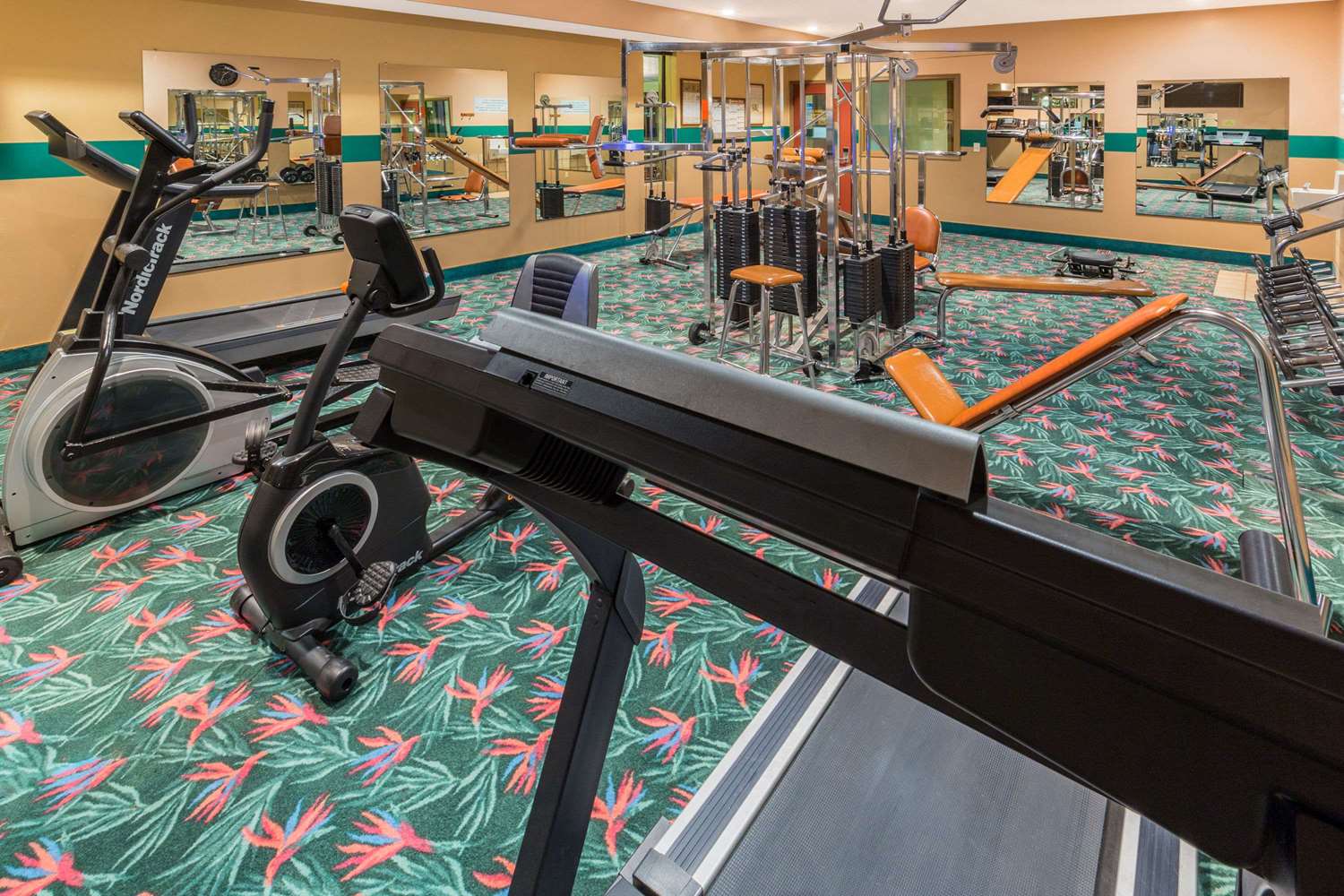 Days Inn by Wyndham Black Bear 15/19