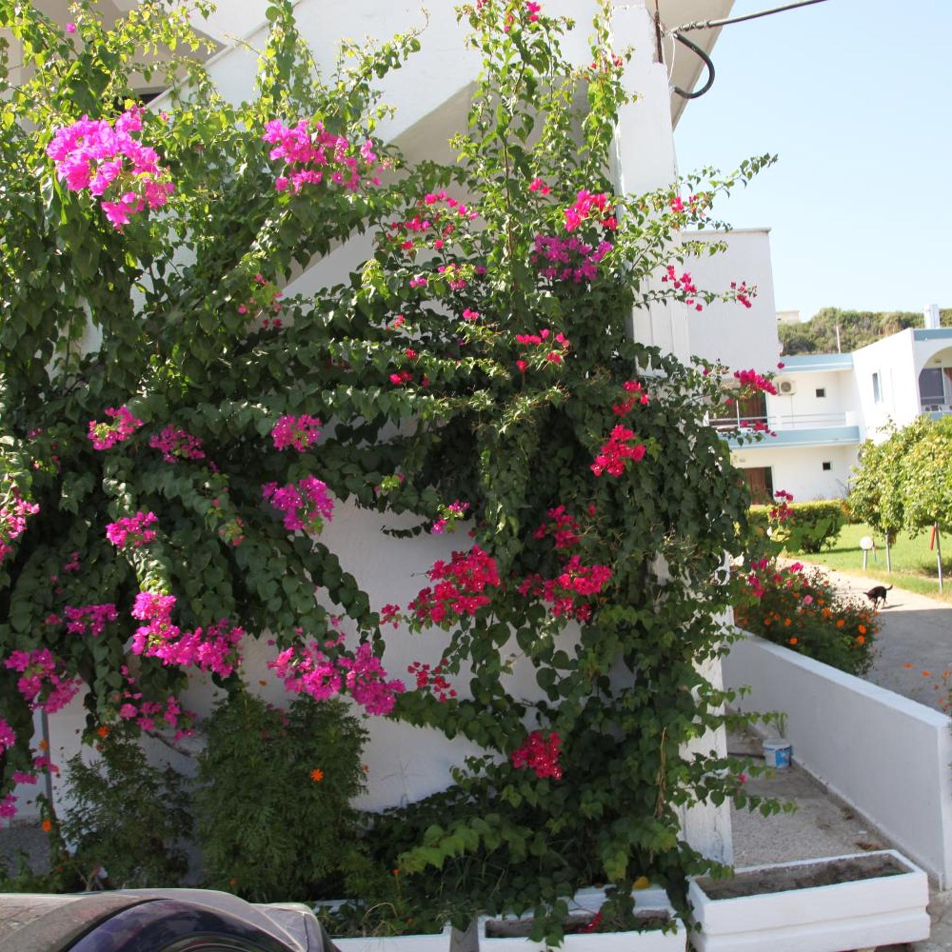 Despina Hotel 20/29