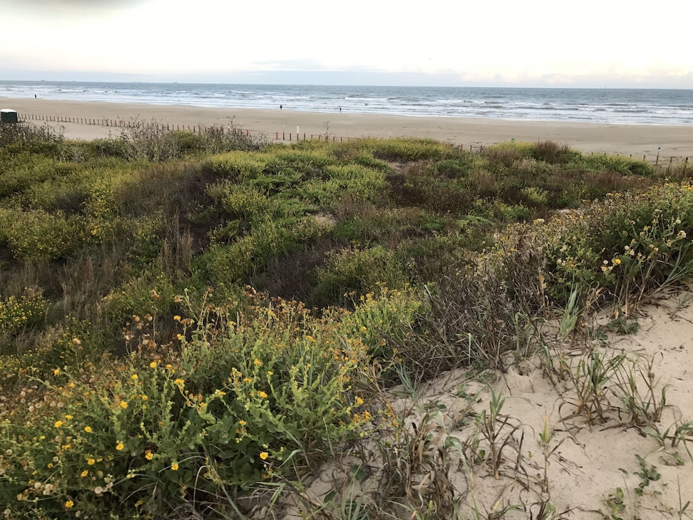 Executive Keys Condominiums on the Beach 54/66