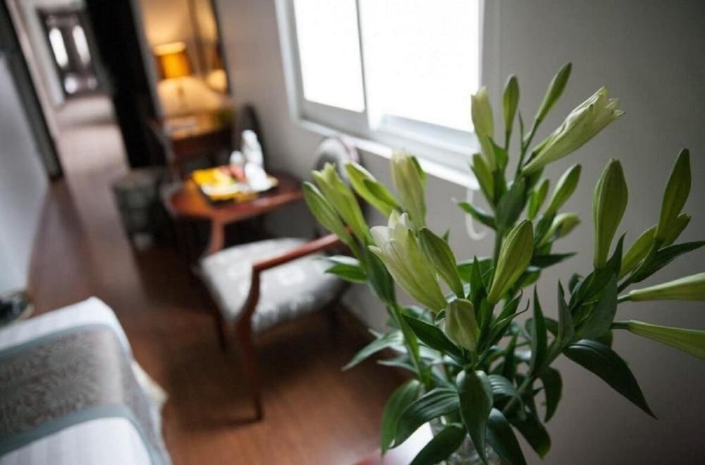 Skylark Boutique Hotel 42/50