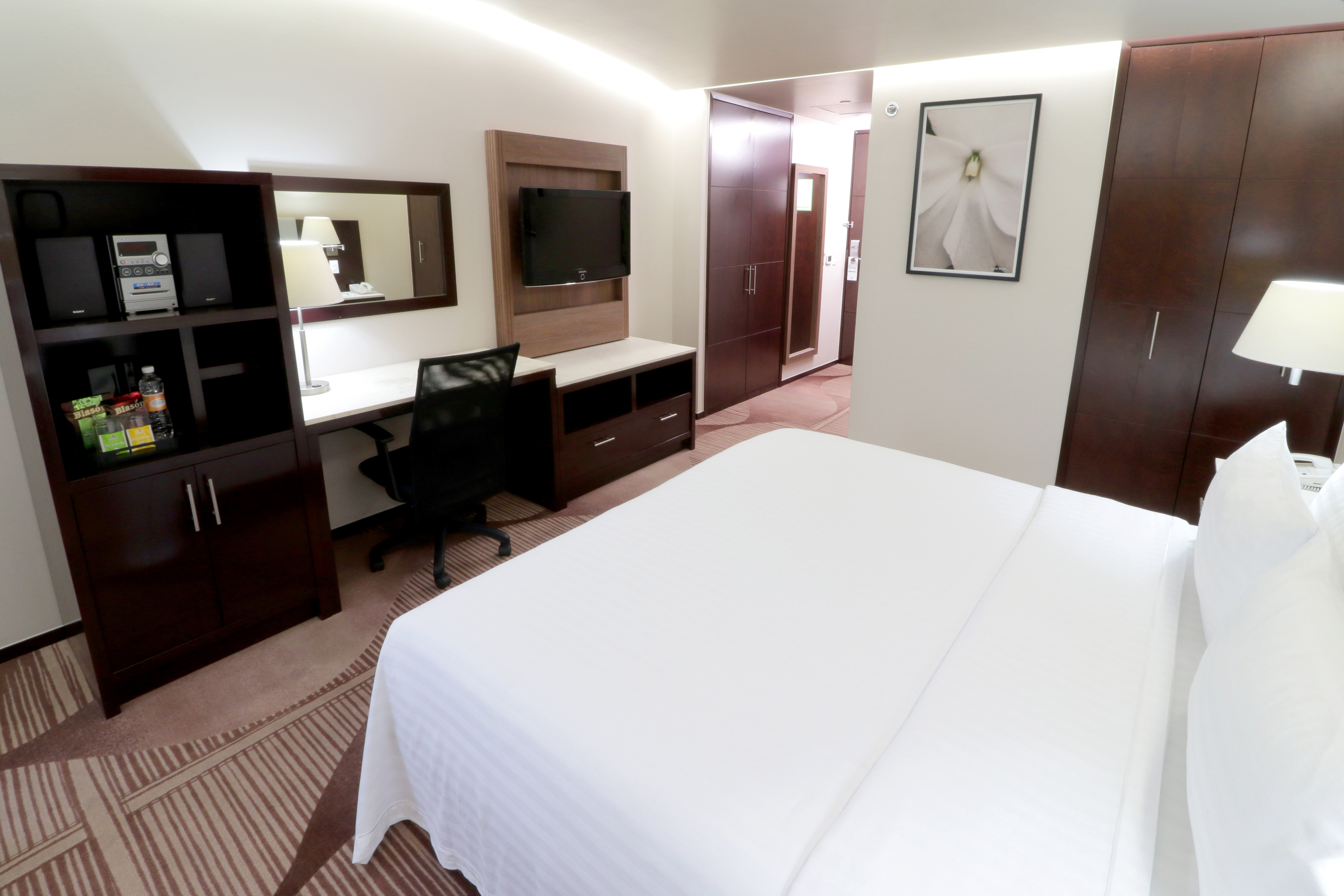 Holiday Inn Hotel And Suites Medica Sur 8/35