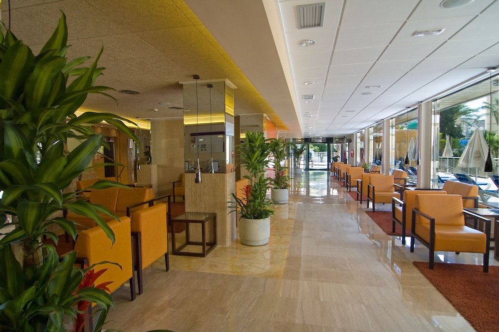 Servigroup Orange 32/49