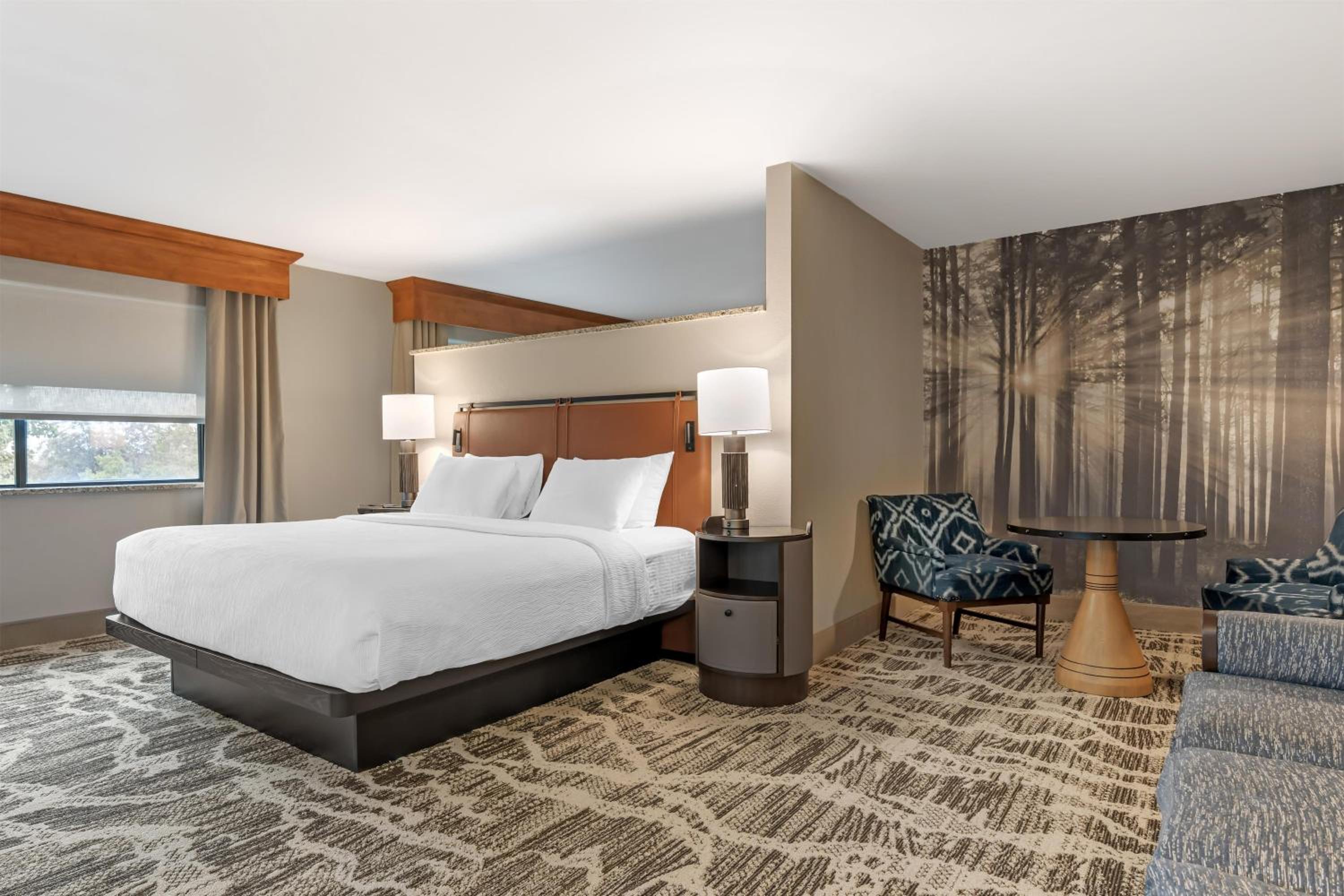 Mini, Suite, King Bed, 2 Sofa