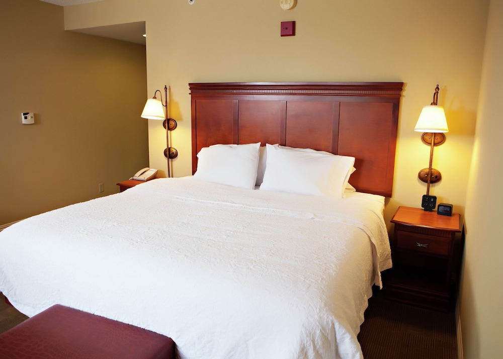 Hampton Inn Martin 19/43