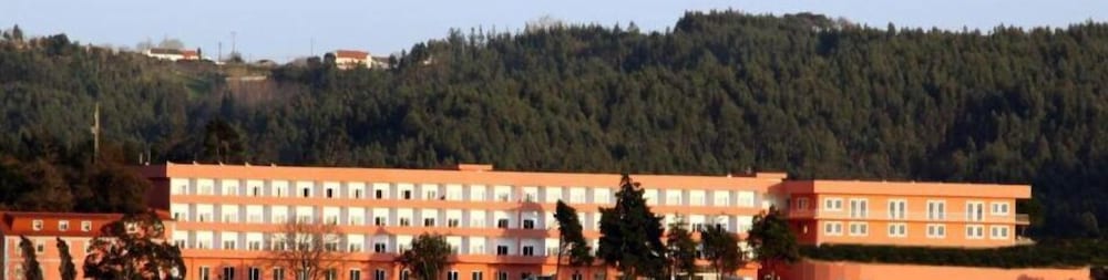 Palace Hotel & Spa Termas Do Bicanho 6/60