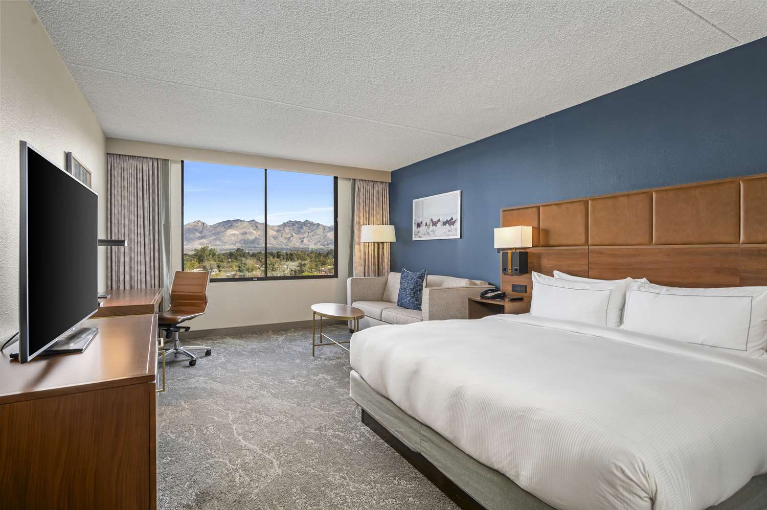 TOWER, KING BED, MOUNTAIN VIEW