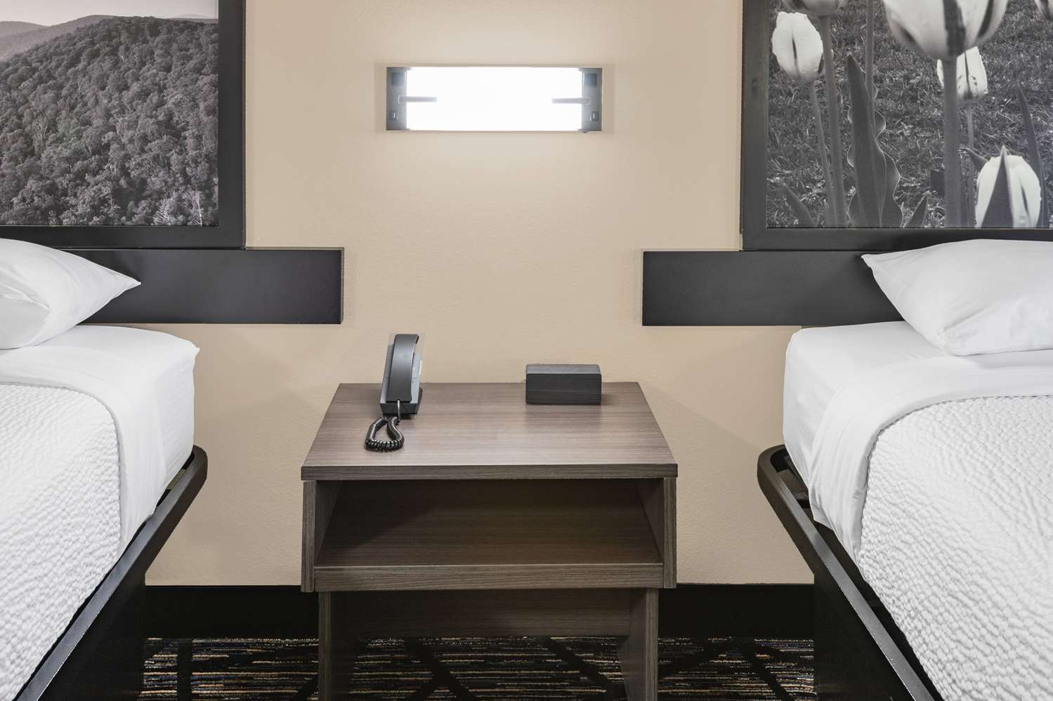 Super 8 by Wyndham Charlottesville 39/51