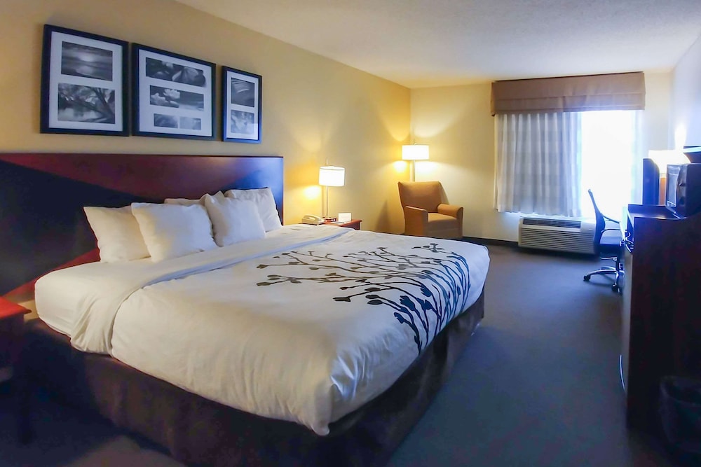 Wingate by Wyndham Dublin Near Claytor Lake State Park 13/38