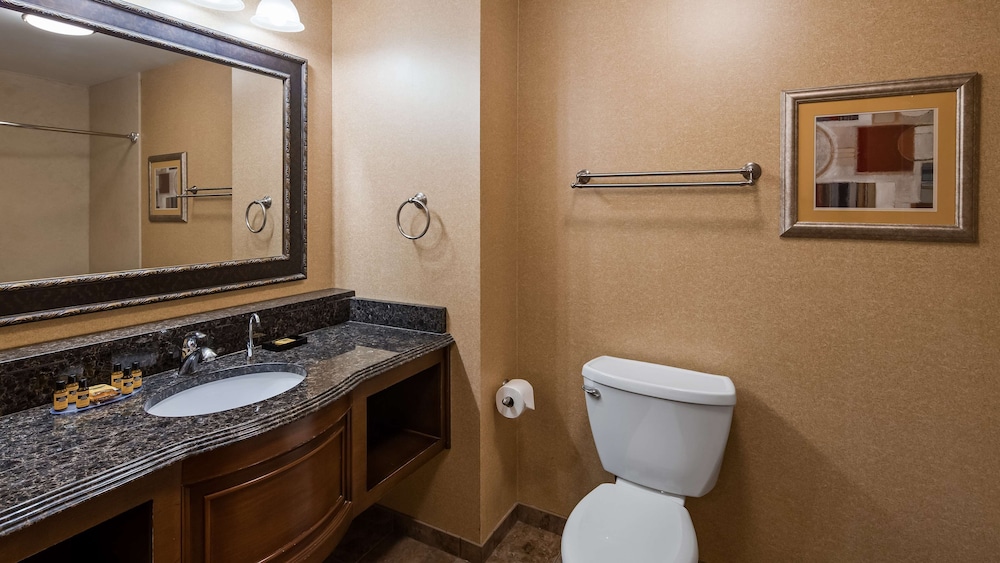 Best Western Plus North Canton Inn & Suites 14/62