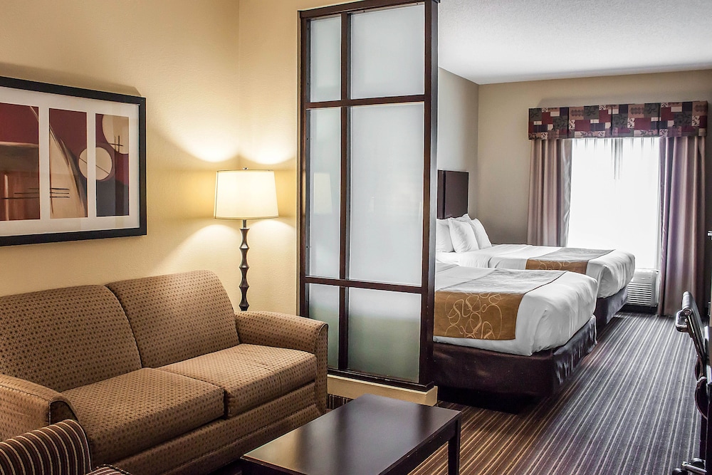 Comfort Suites West of The Ashley 17/46
