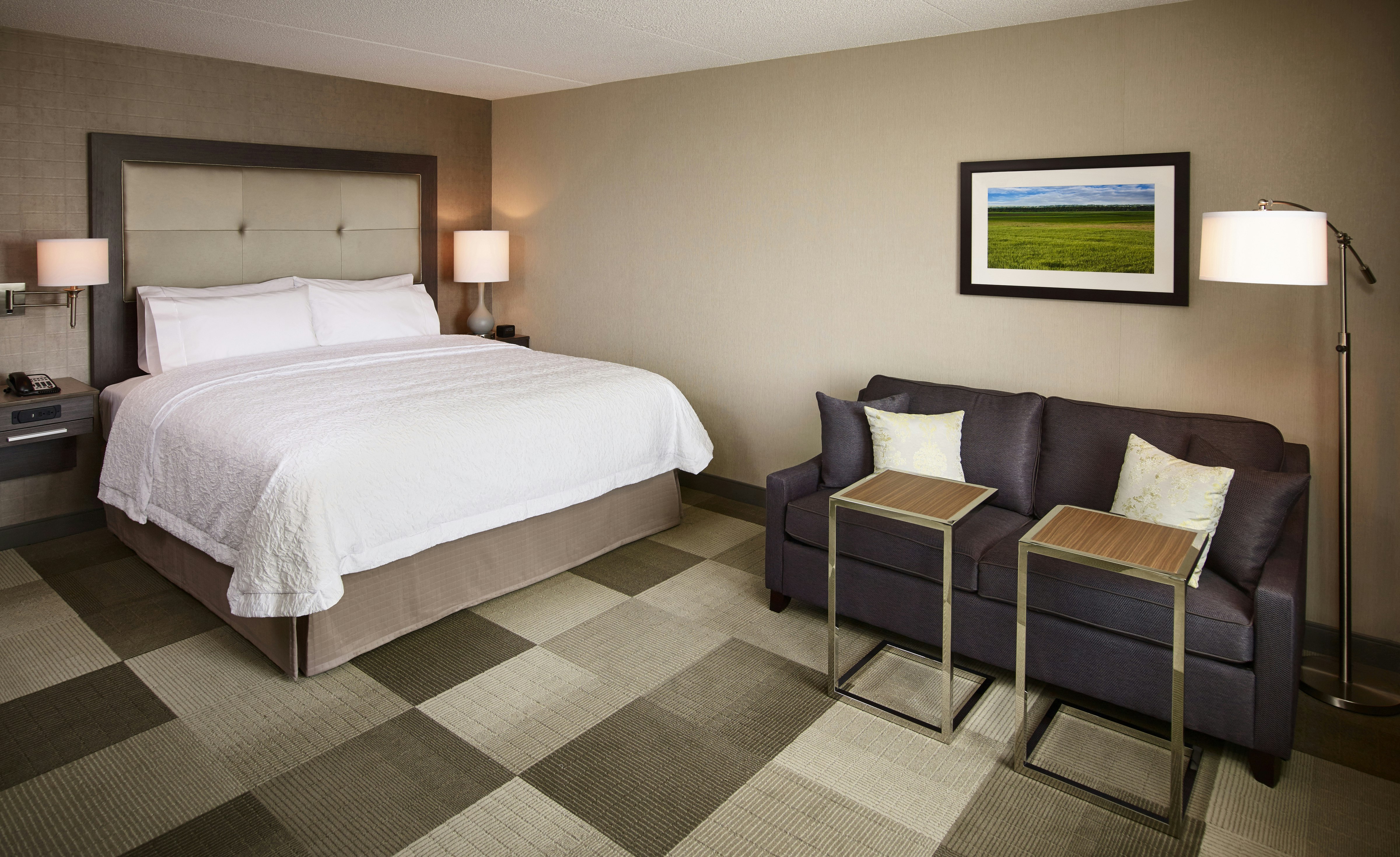 Room, King Bed, Sofa