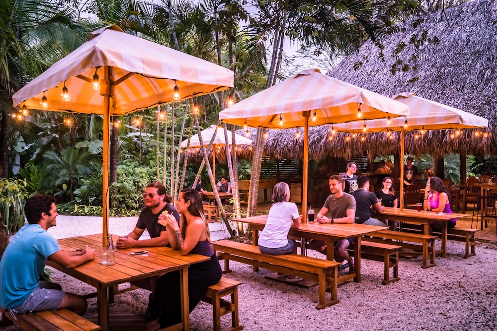 Sunset Shack Hotel 13/22