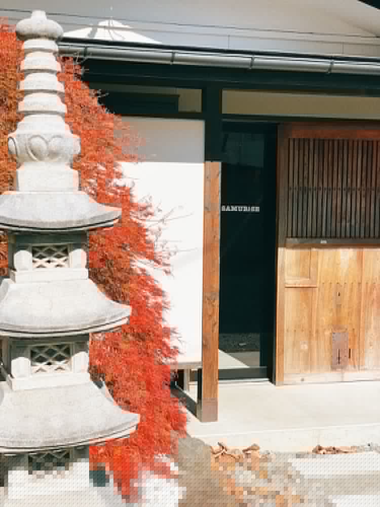 Mt.富士ホステル サムライズ蔵 写真2