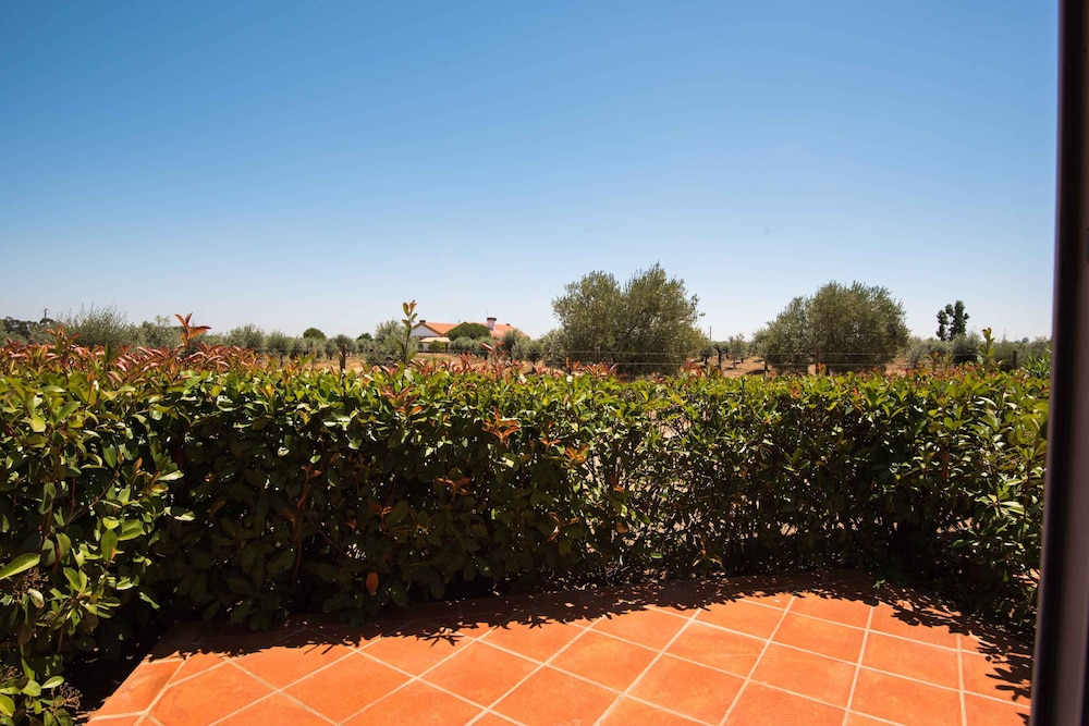 Vila Gale Alentejo Vineyard - Clube de Campo 23/48