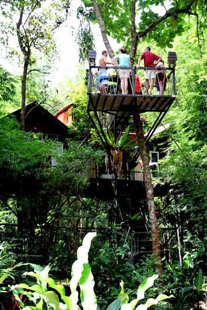 Khao Sok Tree House 43/50