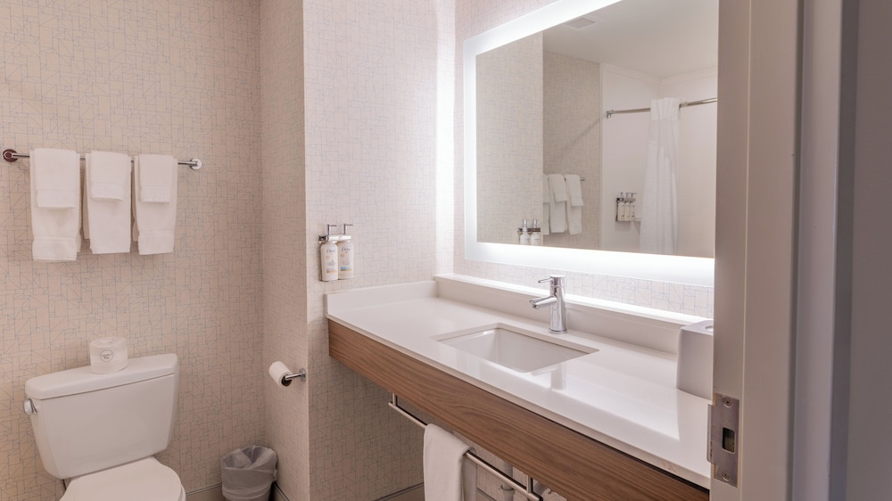 Holiday Inn Express Hotel And Suites Macon West 61/63