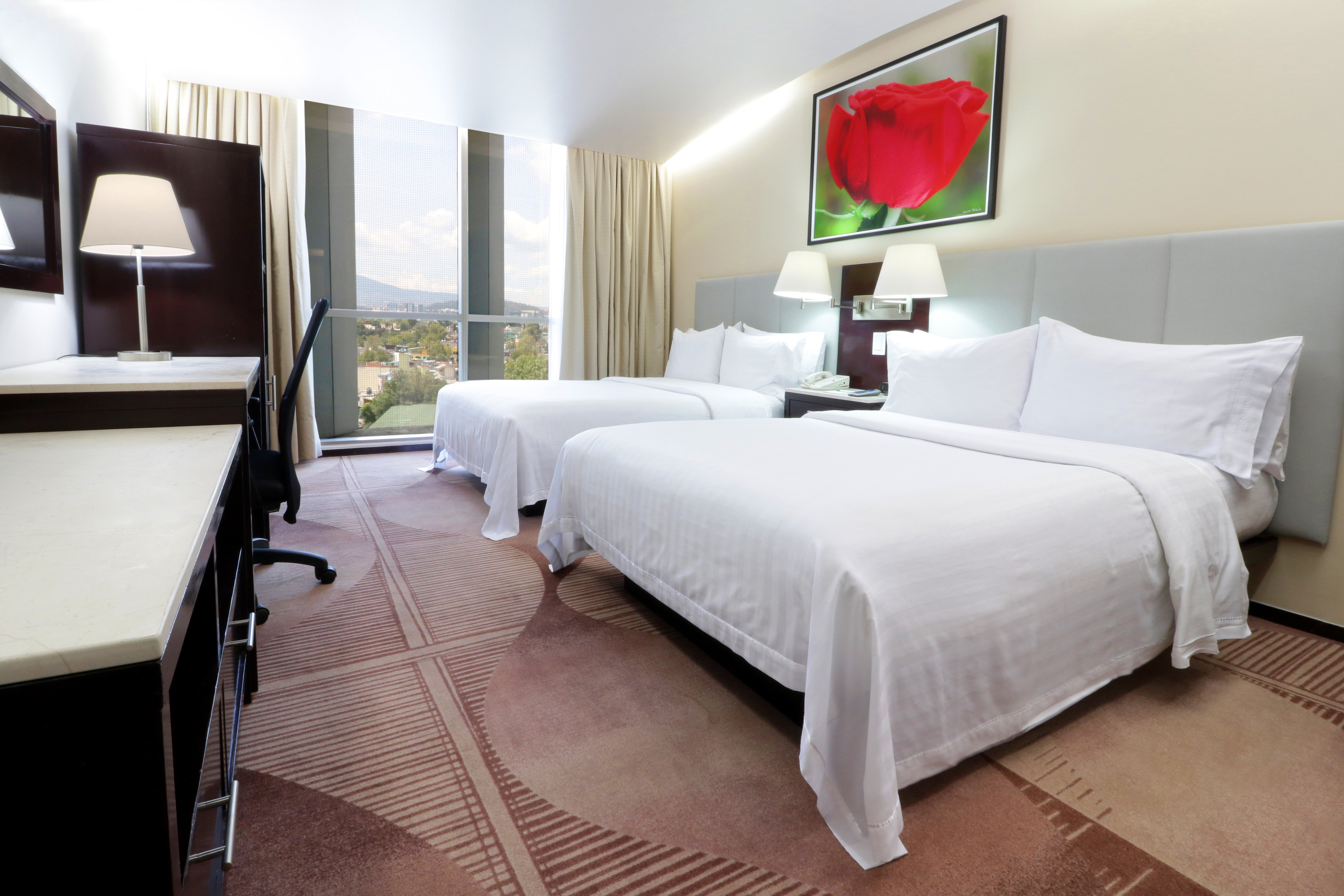 Holiday Inn Hotel And Suites Medica Sur 15/35