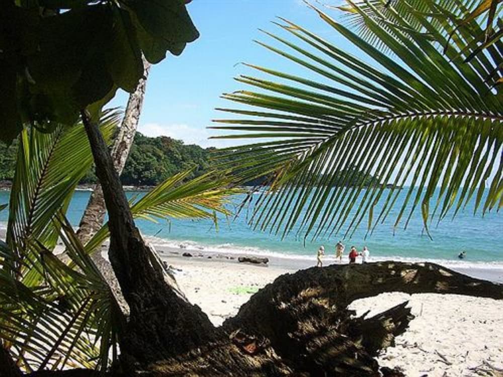 The Falls Resort at Manuel Antonio 65/70