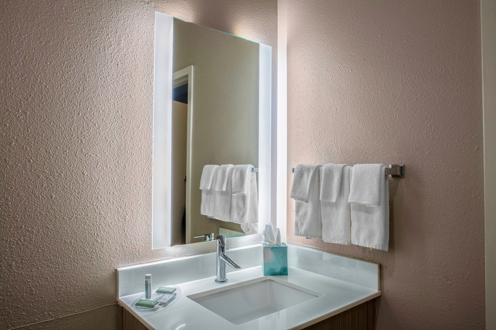 Springhill Suites By Marriott Baton Rouge South 29/32