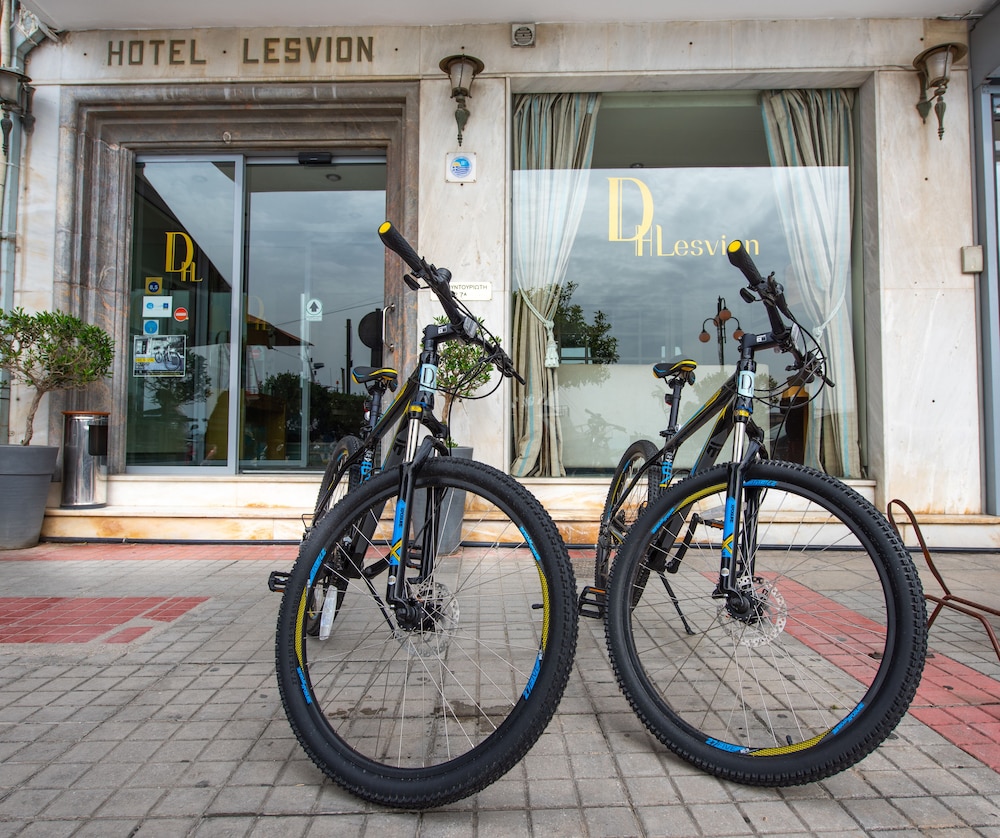 Lesvion 39/65