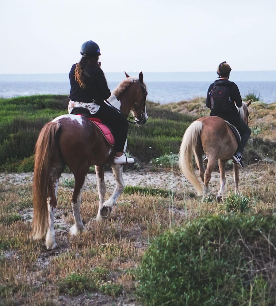 Horse Country Resort Congress & Spa 41/50