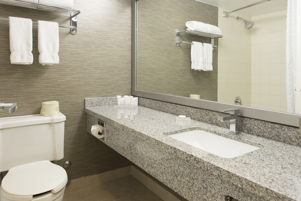 Toronto Don Valley Hotel Suites 16/31