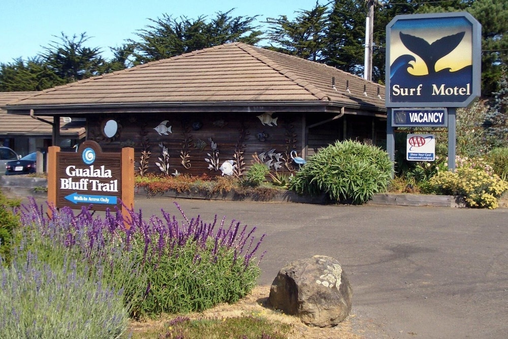 Surf Inn 3/26